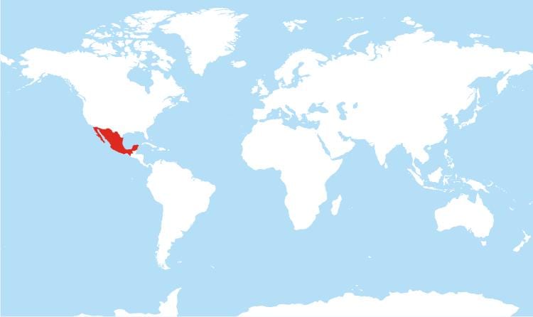 ubicación de México en el mapa del mundo