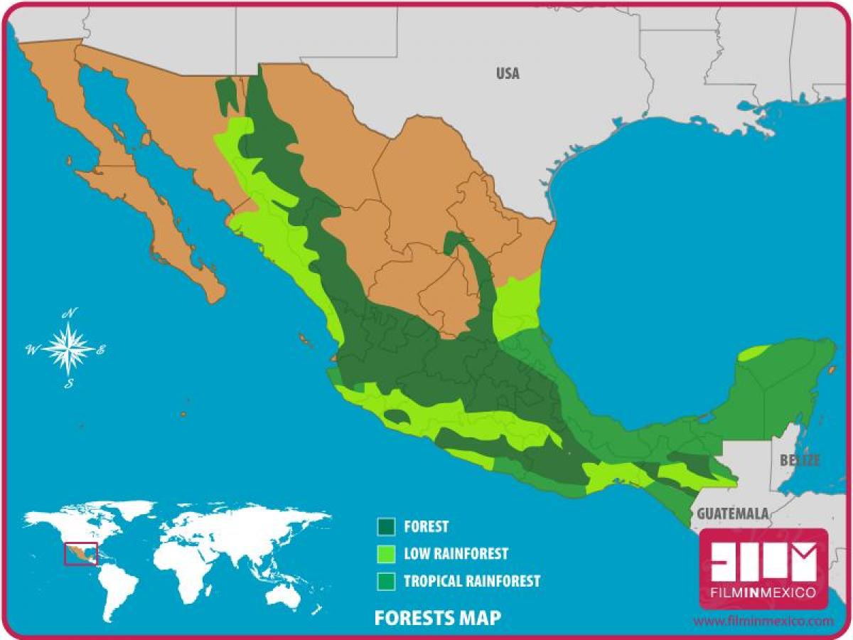 mapa de bosques de México