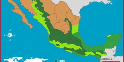 Mapa de bosques de México