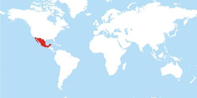 Ubicación de México en el mapa del mundo