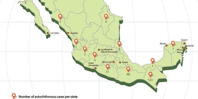 Zika México mapa
